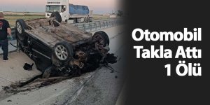 Otomobil takla attı 1 ölü