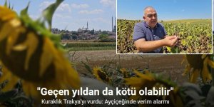 Kuraklık Trakya’yı vurdu: Ayçiçeğinde verim alarmı