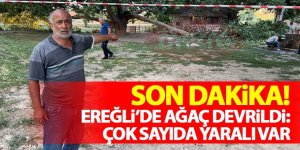 Ereğli’de piknik alanında ağaç devrildi: 11 yaralı