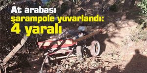 At arabası şarampole yuvarlandı: 4 yaralı