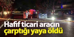 Hafif ticari aracın çarptığı yaya öldü