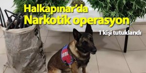 Halkapınar’da Narkotik operasyon 1kişi tutuklandı