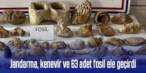Jandarma, kenevir ve 63 adet fosil ele geçirdi