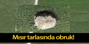Mısır tarlasında obruk!