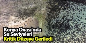 Konya Ovası'nda Su Seviyeleri Kritik Düzeye Geriledi