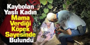 Aydın'da Kaybolan Yaşlı Kadın Mama Verdiği Köpek Sayesinde Bulundu