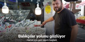 Hamsi için geri sayım başladı: Balıkçılar yolunu gözlüyor