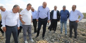 Başkan Erkoyuncu: “2027 Yılında Patates Tohumunda Dışa Bağımlılık Bitecek”