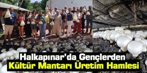 Halkapınar’da Gençlerden Kültür Mantarı Üretim Hamlesi