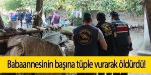 Babaannesinin başına tüple vurarak öldürdü!
