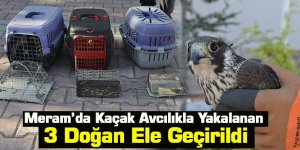 Meram’da Kaçak Avcılıkla Yakalanan 3 Doğan Ele Geçirildi