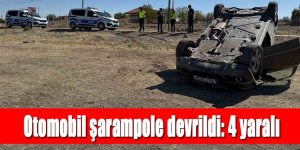 Otomobil şarampole devrildi: 4 yaralı