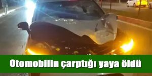 Otomobilin çarptığı yaya öldü
