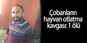 Çobanların hayvan otlatma kavgası: 1 ölü