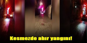 Kesmezde ahır yangını!