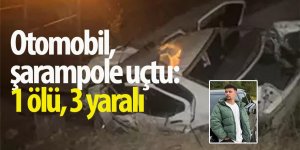 Otomobil, şarampole uçtu: 1 ölü, 3 yaralı