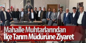 Mahalle Muhtarlarından İlçe Tarım Müdürüne Ziyaret