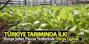 TÜRKİYE TARIMINDA İLK! Konya Şeker, Pancar Testlerinde Dünya Liginde 