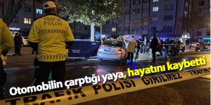 Otomobilin çarptığı yaya, hayatını kaybetti