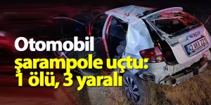 Otomobil şarampole uçtu: 1 ölü, 3 yaralı