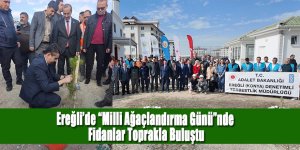 Ereğli’de “Milli Ağaçlandırma Günü”nde Fidanlar Toprakla Buluştu