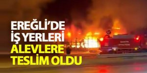 EREĞLİ’DE İŞ YERLERİ ALEVLERE TESLİM OLDU