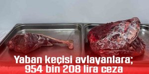 Yaban keçisi avlayanlara; 954 bin 208 lira ceza