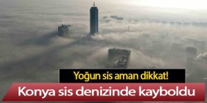Yoğun sis aman dikkat! Konya sis denizinde kayboldu