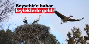 Beyşehir’e bahar leyleklerle geldi