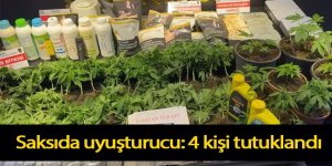 Saksıda uyuşturucu: 4 kişi tutuklandı