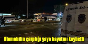 Otomobilin çarptığı yaya hayatını kaybetti