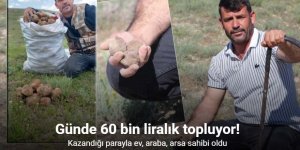 "Dolaman kurdu" günde 60 bin liralık mantar buluyor