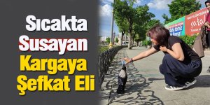 Konya'da Yürekleri Isıtan Anlar: Sıcakta Susayan Kargaya Şefkat Eli