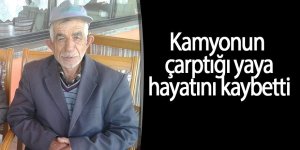 Kamyonun çarptığı yaya hayatını kaybetti