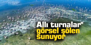 Kuş cenneti Akgöl eski günlerine döndü
