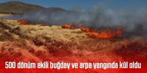 500 dönüm ekili buğday ve arpa yangında kül oldu