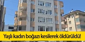 Yaşlı kadının katili komşusu çıktı!