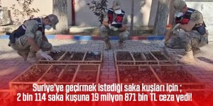 Traktörün römorkunda 2 bin 114 saka ele geçirildi; sürücüye 19,8 milyon TL ceza kesildi