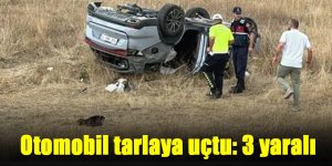 Otomobil tarlaya uçtu: 3 yaralı