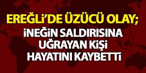 Ereğli’de Üzücü Olay; İneğin Saldırısına Uğrayan Kişi Hayatını Kaybetti