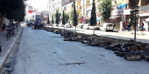 ANA ARTERLERDE KÖKLÜ DEĞİŞİM