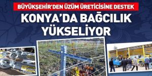 Büyükşehir’den Üzüm Üreticisine Destek