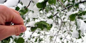 Meteorolojiden Zirai Don uyarısı!..