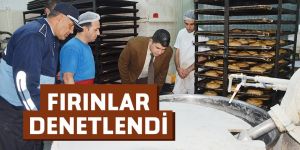 FIRINLARA DENETİM