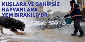 Kuşlara ve Sahipsiz Hayvanlara Yem Bırakılıyor
