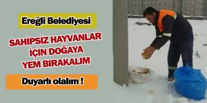 Ereğli Belediyesi Sahipsiz Hayvanları Unutmadı