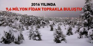 2016’da 9,6 Milyon Fidan Toprakla Buluştu