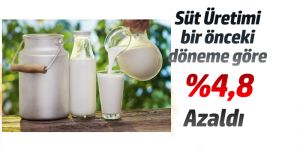 Süt Ürünleri Üretimi,%4,8 Azaldı