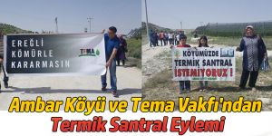 Tema Vakfı'ndan Termik Santral Eylemi